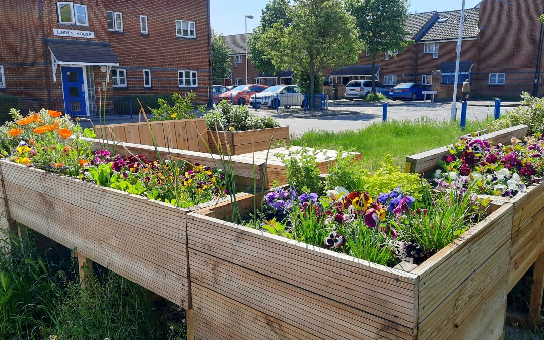 Summer 2018 newsletter: Improving Open Spaces